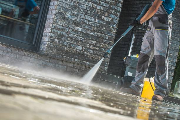 Best Dumpster Area Cleaning  in Arcadia, SC